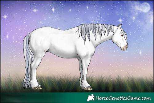 Horse Color:Painted White Spotted Silver Black Chinchilla Ice Near Leopard Rabicano