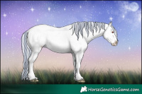 Horse Color:Painted White Spotted Silver Black Chinchilla Ice Near Leopard Rabicano 
