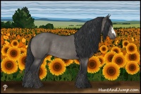 Horse Color:Grullo Mushroom Rabicano