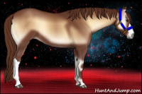 Horse Color:Red Onyx 