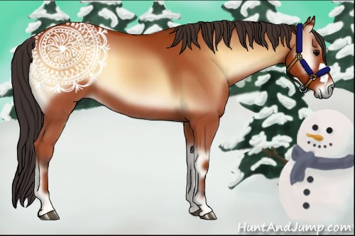Horse Color:Bay Onyx 