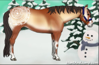 Horse Color:Bay Onyx 