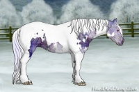Horse Color:Watercolor Plaid White Spotted Silver Black Chinchilla Ice Tobiano