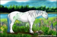 Horse Color:Watercolor White Spotted Grullo Ice Tobiano Rabicano