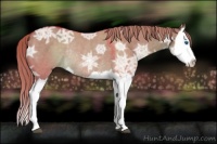 Horse Color:Watercolor Liver Red Dun Ice Splash Rabicano 