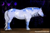 Horse Color:Watercolor White Spotted Silver Grullo Chinchilla Rabicano 