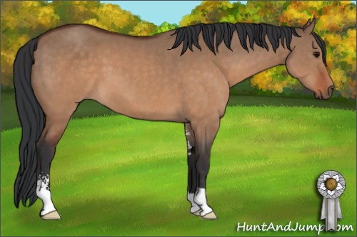 Horse Color:Brown Dun Sabino 