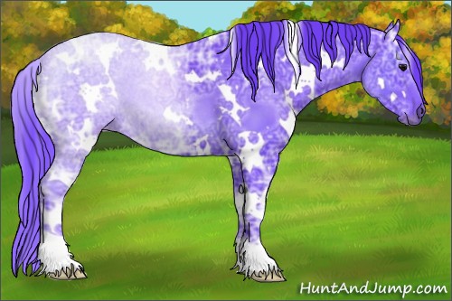 Horse Color:Watercolor White Spotted Black Ice 