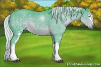 Horse Color:Watercolor White Spotted Silver Black Chinchilla Sabino 