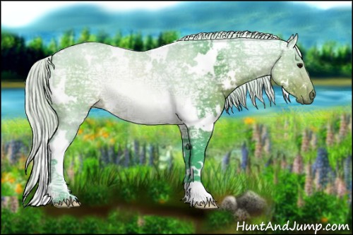 Horse Color:Watercolor White Spotted Silver Brown Ice Rabicano 