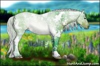 Horse Color:Watercolor White Spotted Silver Brown Ice Rabicano 