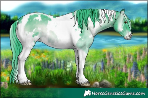 Horse Color:Watercolor White Spotted Brown Chinchilla Onyx Tobiano 