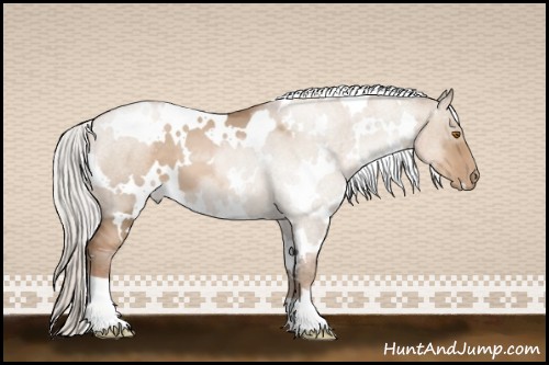 Horse Color:White Spotted Silver Grullo Pearl 