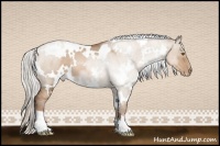 Horse Color:White Spotted Silver Grullo Pearl