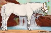 Horse Color:Cremello Roan Splash  Brindle