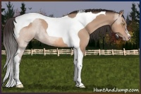 Horse Color:Amber Champagne Tobiano 