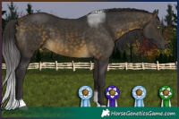 Horse Color:Buckskin Tobiano