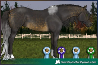 Horse Color:Buckskin Tobiano 