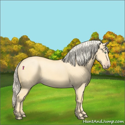 Horse Color:Gold Cream Champagne Dun 