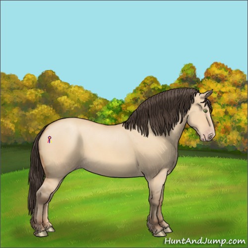 Horse Color:Amber Champagne Dun 
