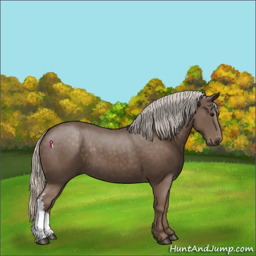 Horse Color:Silver Black 