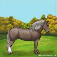 Horse Color:Silver Black 