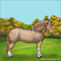 Horse Color:Red Roan Tobiano 