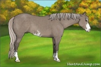 Horse Color:Silver Grullo Sabino 