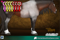 Horse Color:Liver Chestnut Sabino Tobiano 