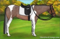 Horse Color:Bay Roan Tobiano