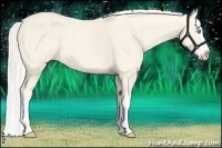 Horse Color:Cremello Splash  Brindle