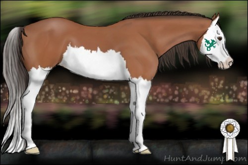 Horse Color:Bay Splash 