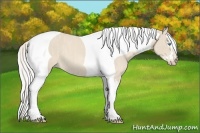 Horse Color:Cremello Splash Tobiano  Brindle