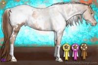 Horse Color:White Spotted Liver Chestnut Pearl Appaloosa