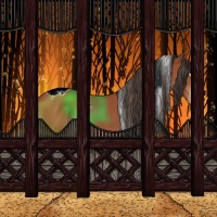 Horse Color:Brown Sabino Tobiano Appaloosa