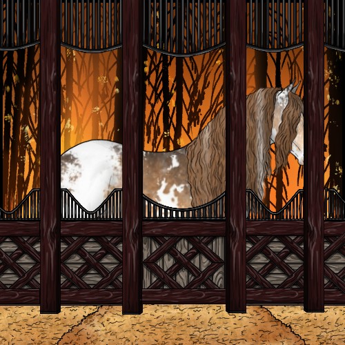 Horse Color:White Spotted Buckskin Splash Tobiano Appaloosa