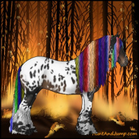 Horse Color:Gray Painted White Spotted Brown Tobiano Appaloosa