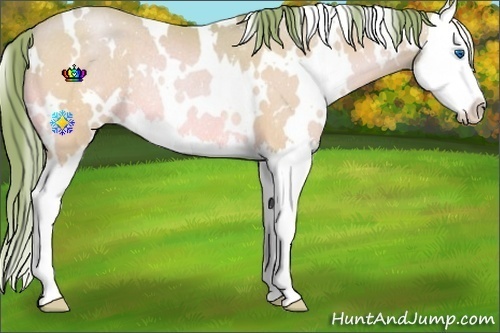 Horse Color:Watercolor White Spotted Bay Pearl Sabino Splash Rabicano 