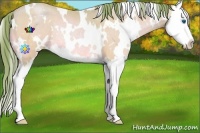 Horse Color:Watercolor White Spotted Bay Pearl Sabino Splash Rabicano