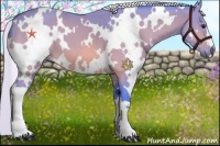 Horse Color:Watercolor White Spotted Silver Bay 