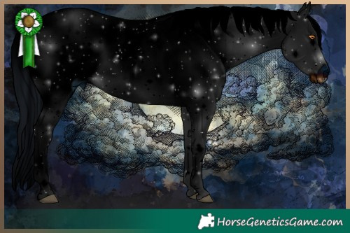 Horse Color:ERROR: UNKNOWN ANOMALY