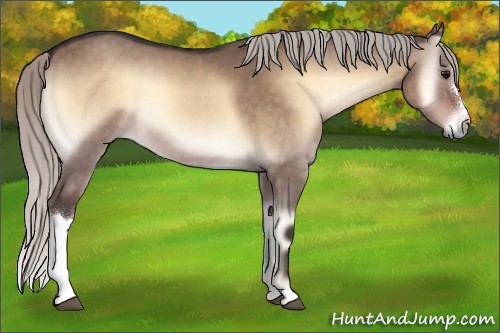 Horse Color:Silver Brown Onyx