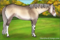 Horse Color:Silver Brown Onyx