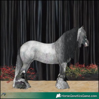 Horse Color:White Spotted Midnight Brown Chinchilla Roan Onyx