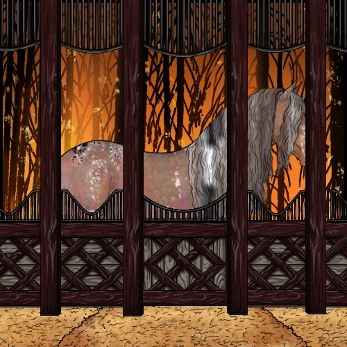 Horse Color:White Spotted Bay Tobiano Appaloosa Rabicano and White Spotted Liver Chestnut Tobiano Appaloosa Rabicano