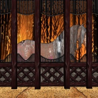 Horse Color:White Spotted Bay Tobiano Varnish Rabicano  and White Spotted Liver Chestnut Tobiano Varnish Rabicano 