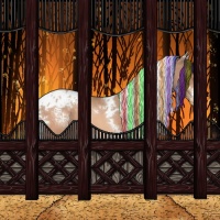 Horse Color:Painted White Spotted Sable Champagne Tobiano Appaloosa 