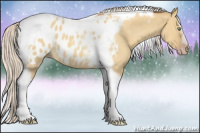 Horse Color:Gray Silver Amber Cream Champagne Roan Dun Splash Tobiano Frame Appaloosa Rabicano 