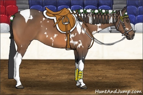 Horse Color:White Spotted Buckskin Tobiano 