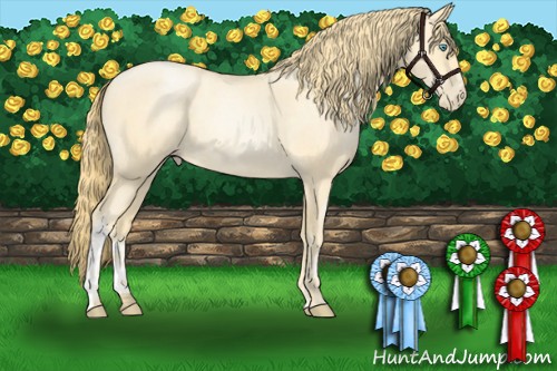 Horse Color:Buckskin Roan Pearl  and Buckskin Roan Pearl 
